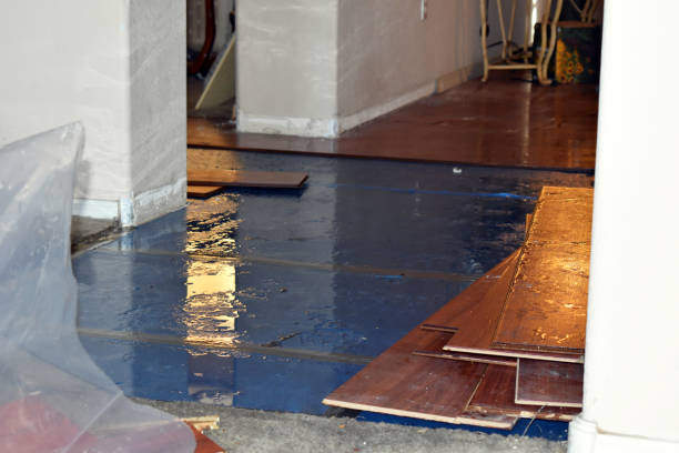 Professional Water Extraction technician working in Altamont, KS